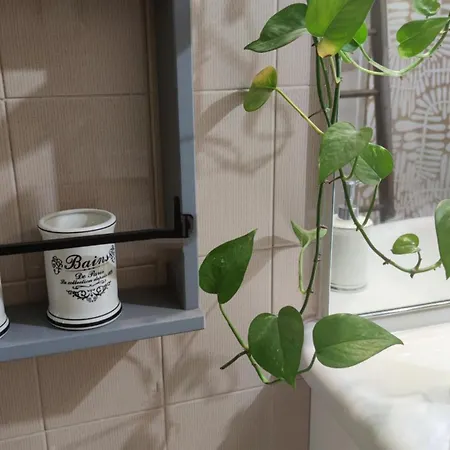 Airone Bianco B&B 팔라쫄로델로스텔라