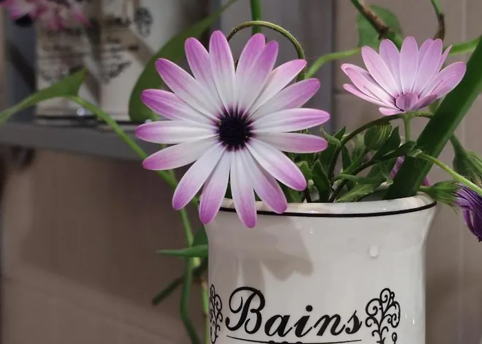 Airone Bianco Palazzolo dello Stella